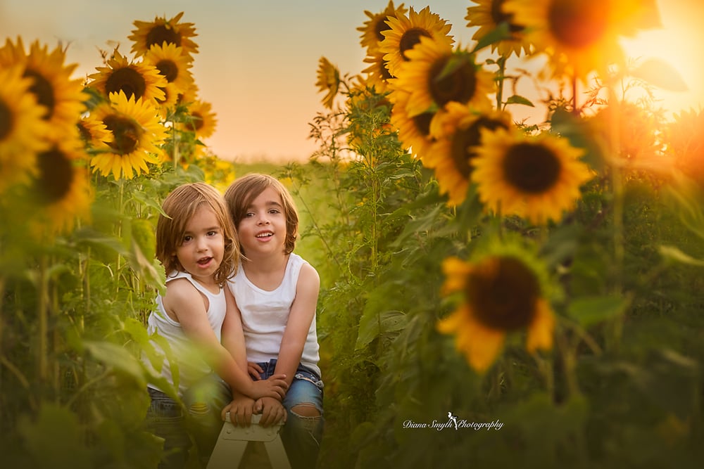 Image of Sunflower Sessions at Please Wash Me Car Wash