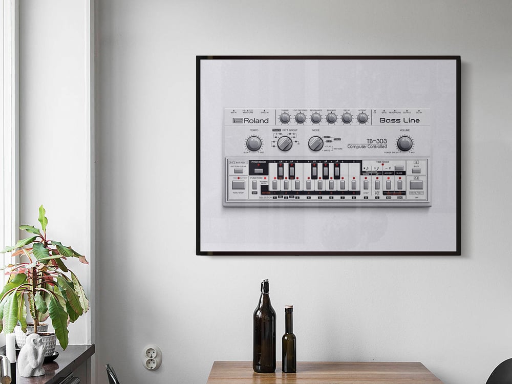 Image of The Roland TB-303