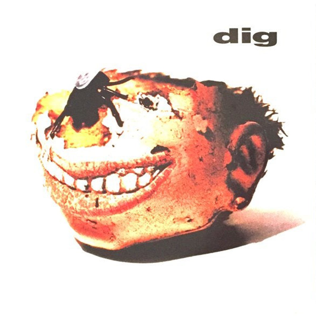 Image of official - dig - "dig" promo poster / original print album release poster