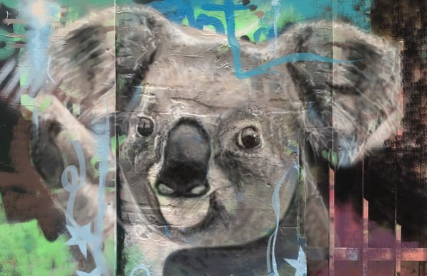 Image of KOALA POWER PRINT 