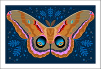 Polyphemus Moth Print