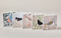 Square Greetings cards ~ Birds