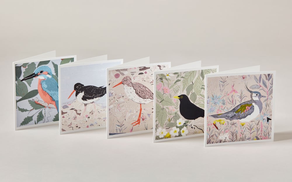 Image of Square Greetings cards ~ Birds