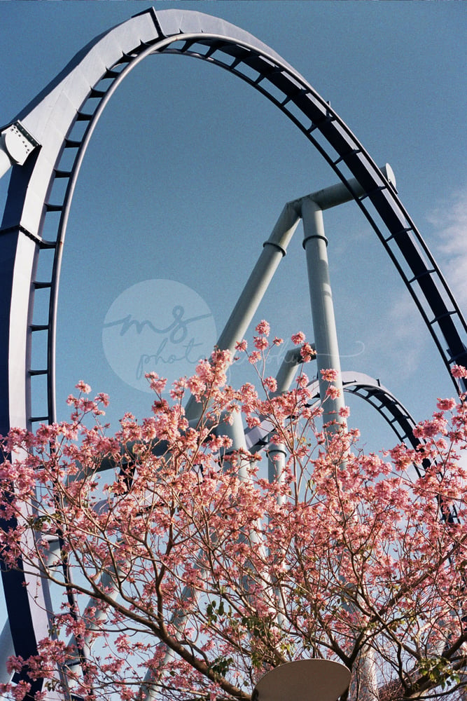 Image of Coaster