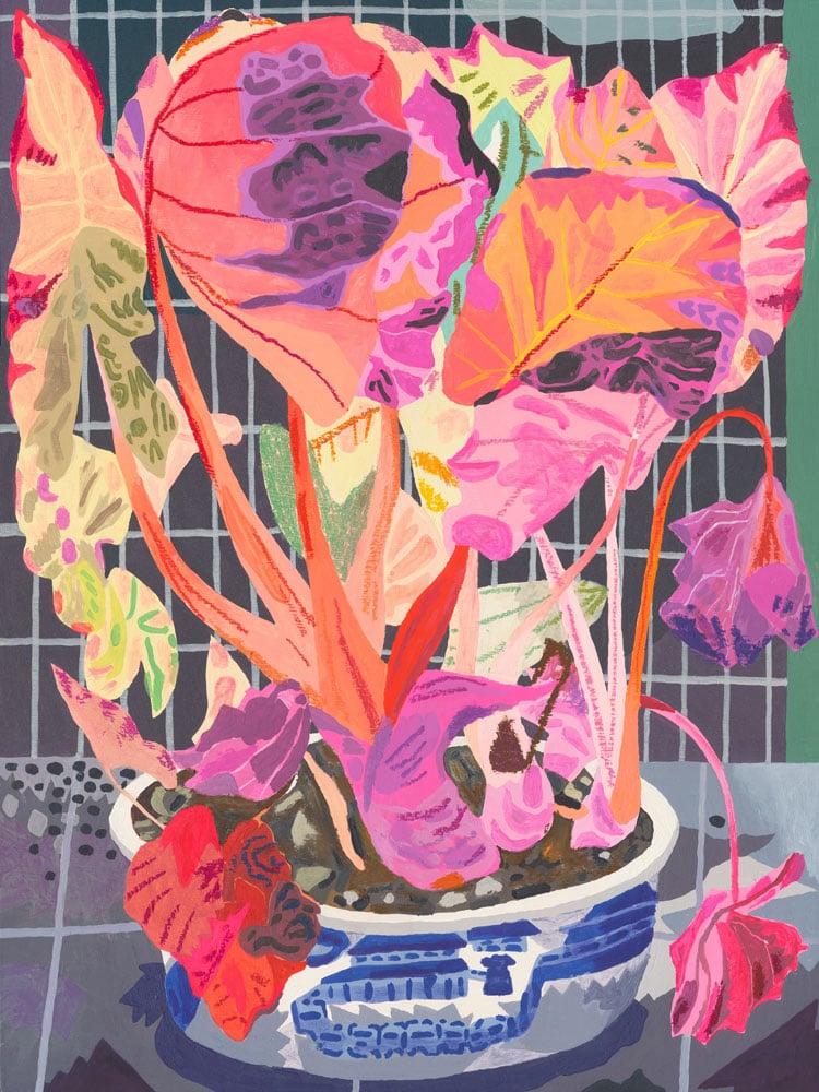Image of Pink Plant