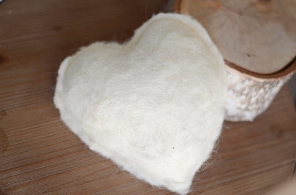 Image of Hand felted hearts pillow set