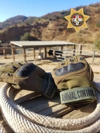 Image 2 of TACTICAL GLOVES