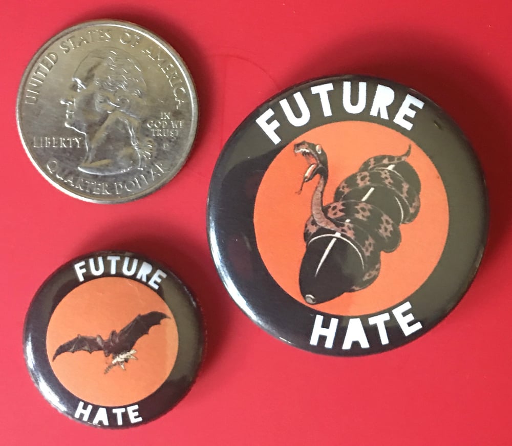 FUTURE HATE magnet & badge