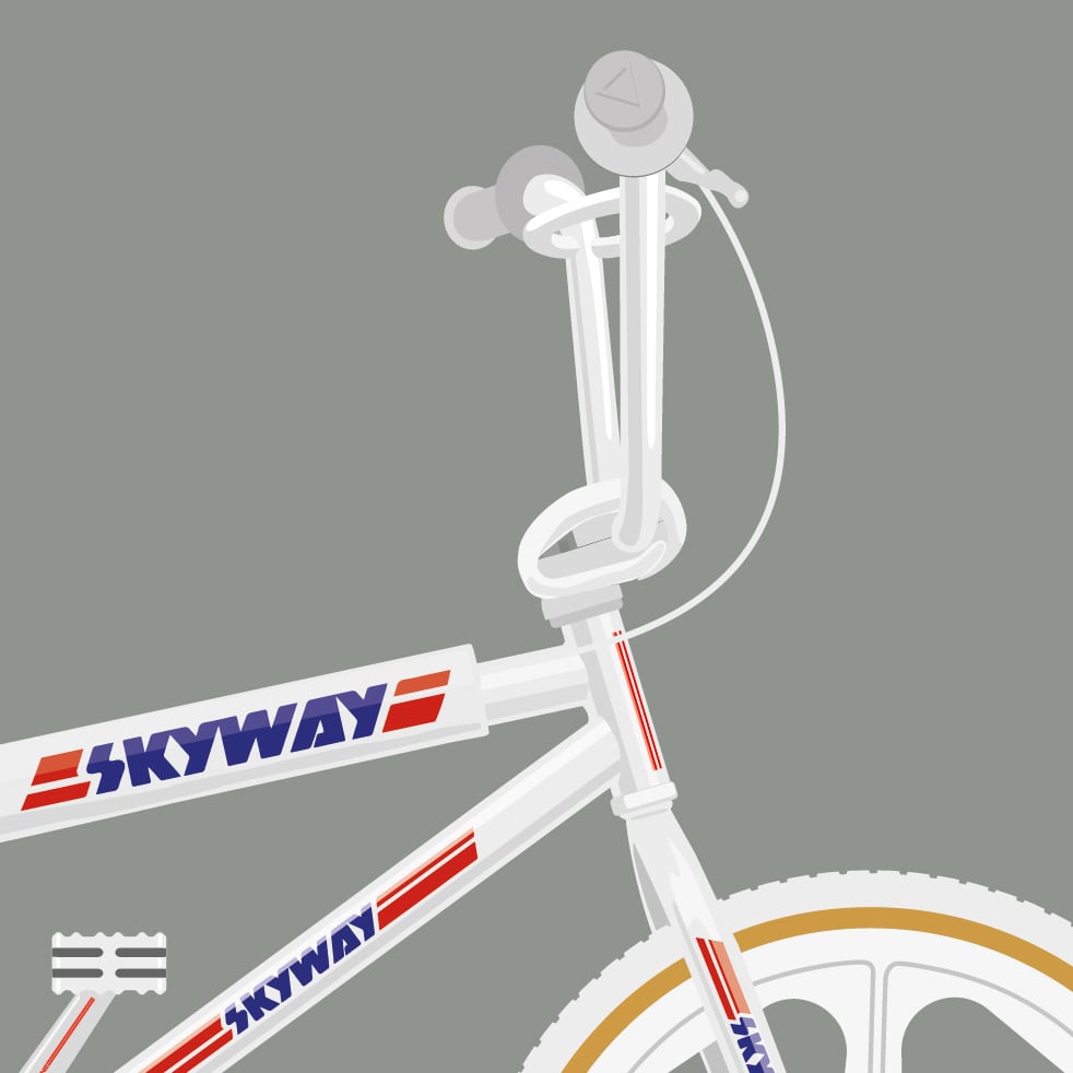 skyway freestyle bike