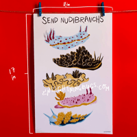 Image 1 of Send Nudibranchs Poster