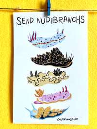 Image 1 of Send Nudibranchs postcard