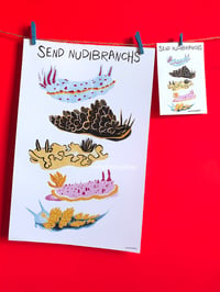 Image 2 of Send Nudibranchs postcard