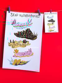 Image 2 of Send Nudibranchs postcard