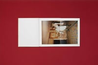 Image 4 of Gucci Oviparity by Yorgos Lanthimos - Last copy