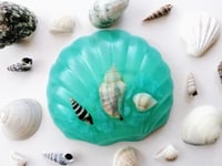 Sea Shell Soap