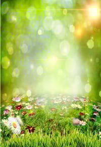 Image 5 of 8x 8, 6 x 10 and 5 x 7 Easter and Spring Backdrops 