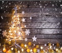 Image 5 of  8 x 8 and 5 x 7 Winter Backdrops 