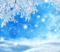 Image 1 of  8 x 8 and 5 x 7 Winter Backdrops 