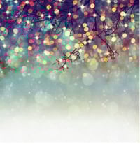 Image 2 of  8 x 8 and 5 x 7 Winter Backdrops 