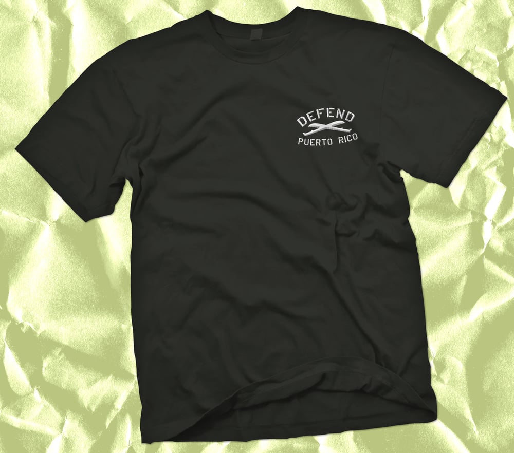 Image of Defend PR Embroidered Tee