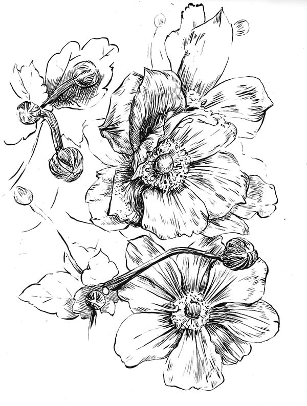 Image of Anemone Print