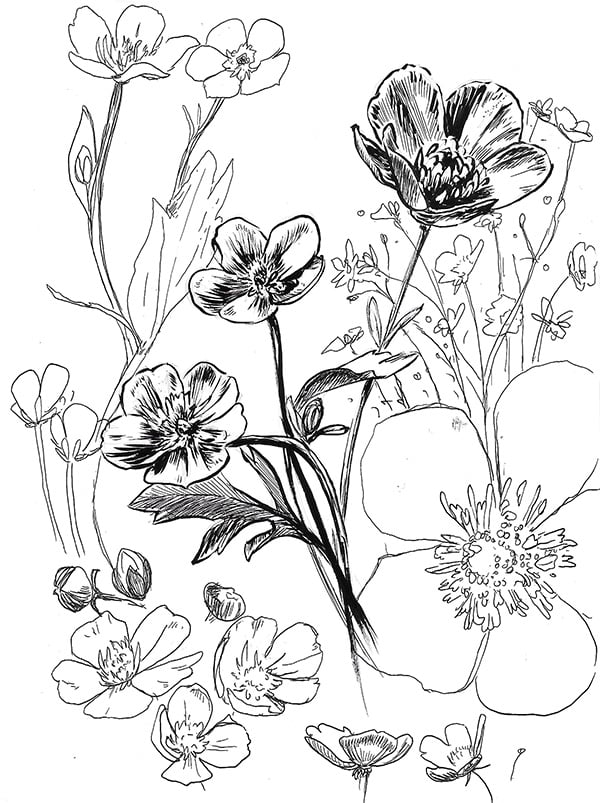 Image of Buttercup Print