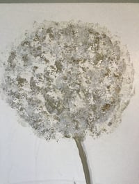 Image 2 of Allium