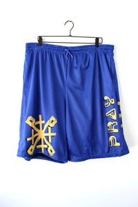 Image of not playing fair bball shorts in blue 