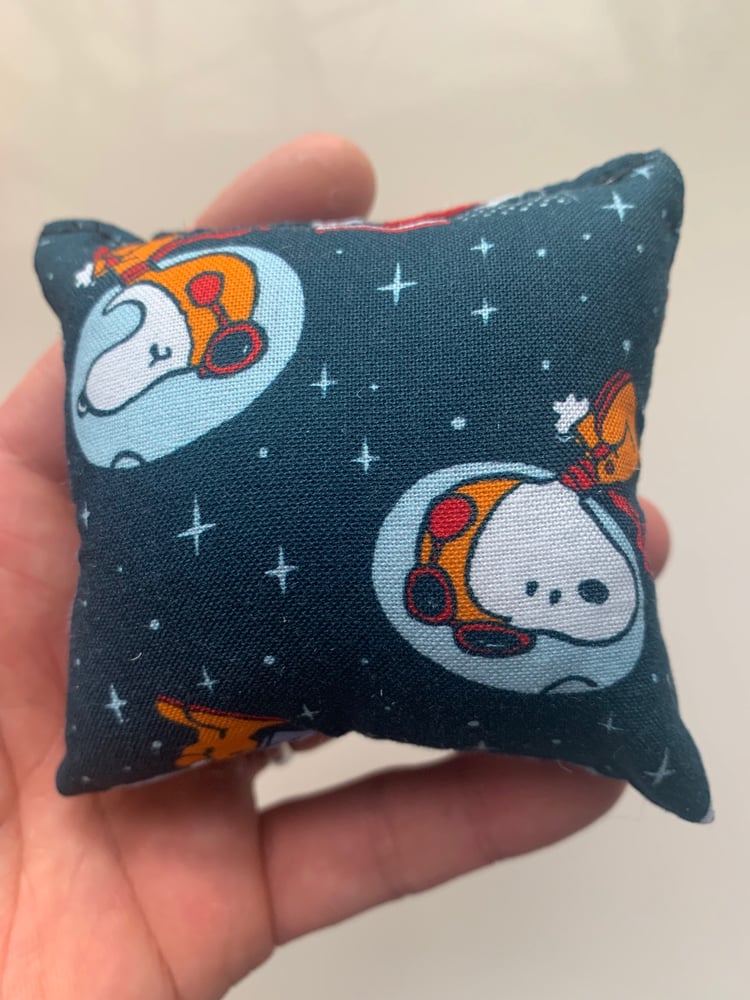 Image of First Beagle In Space