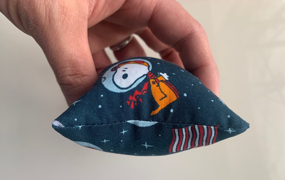 Image of First Beagle In Space