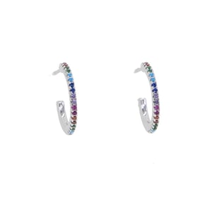 Image of Rainbow earrings