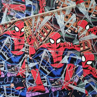 Image 1 of 11x17 signed Spider-Man print