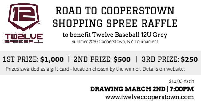Raffle Ticket Twelve Baseball Fundraiser Twelve Baseball 12UGrey Raffle Ticket Twelve Baseball Fundraiser Twelve Baseball 12UGrey