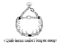 Image 2 of wild horses