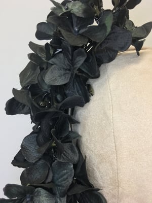 Image of Black hydrangea flower trail  