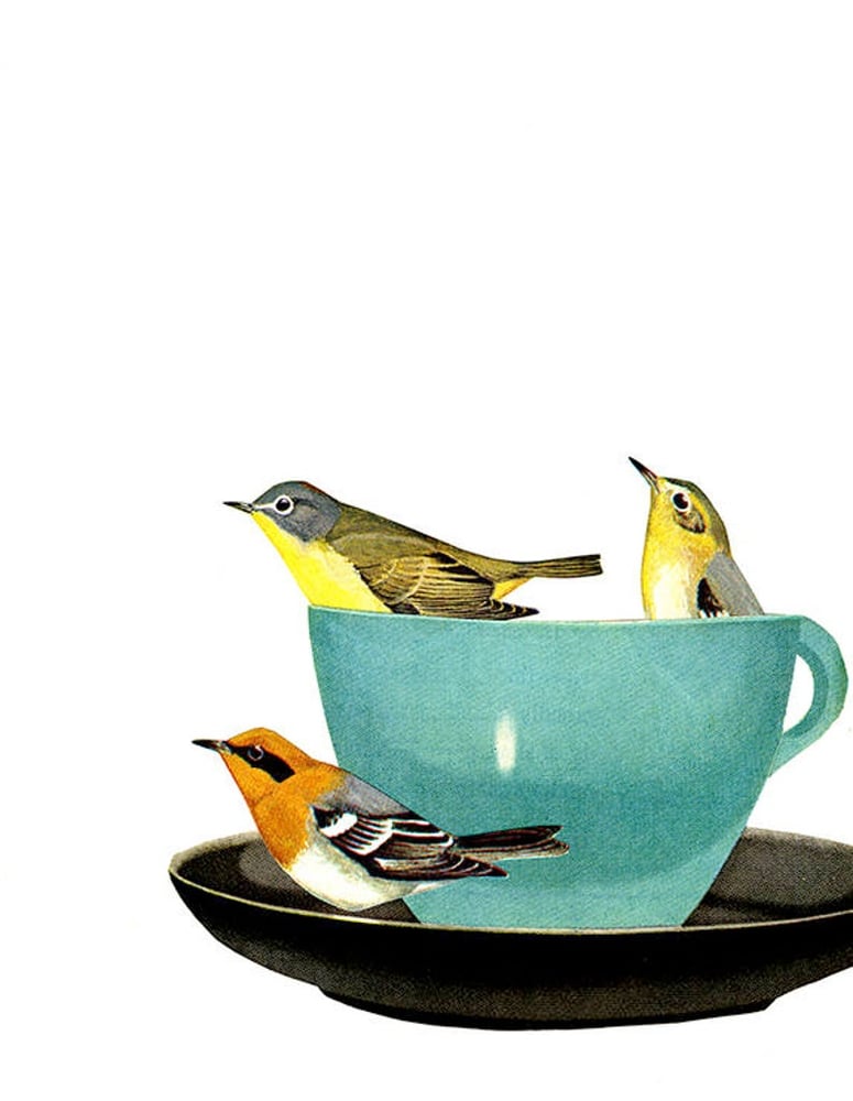 Image of Warbler wake up call. Limited edition collage print.