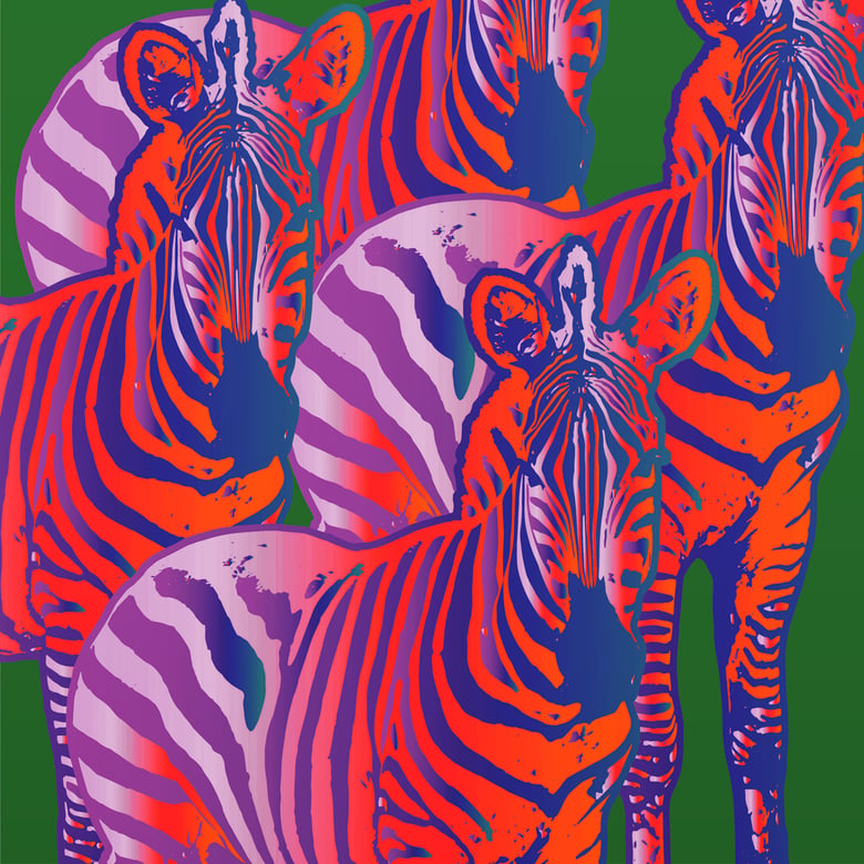 Image of Zebra Print