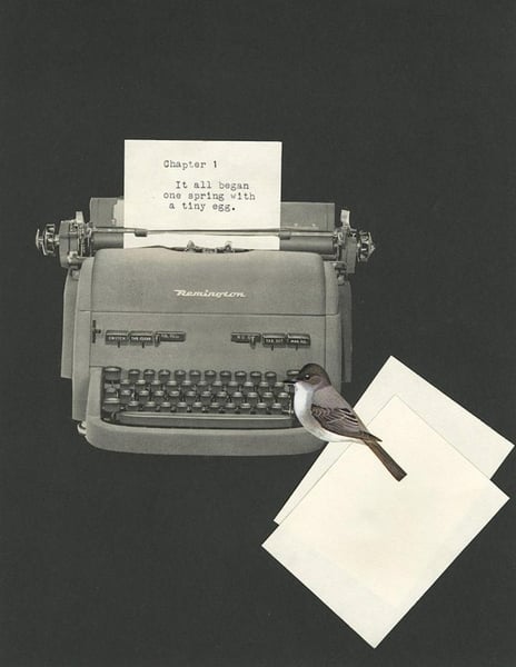 Image of Phoebe begins her memoirs. Limited edition collage print.