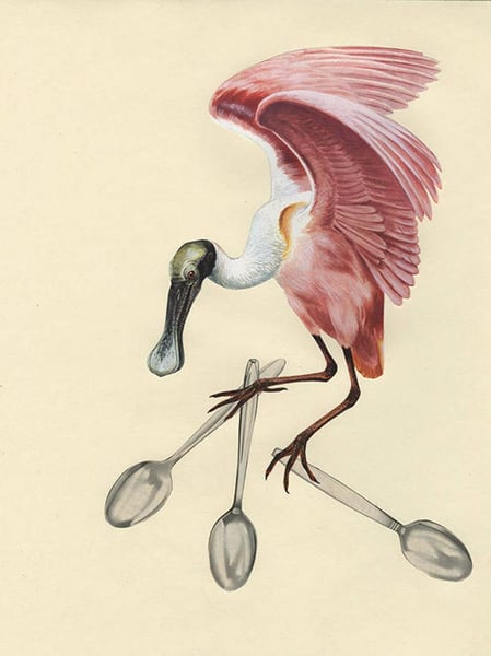 Image of A spoonbill steals the silver. Limited edition collage print.