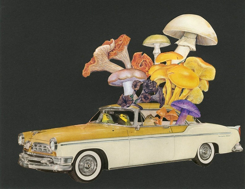 Image of Mushroom Poachers. Limited edition collage print.