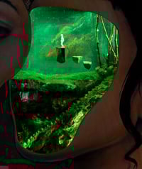 Image 4 of All The Way