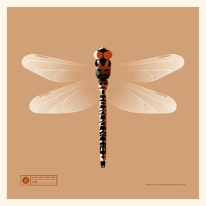 Image of Dragonfly Artprint Red Version