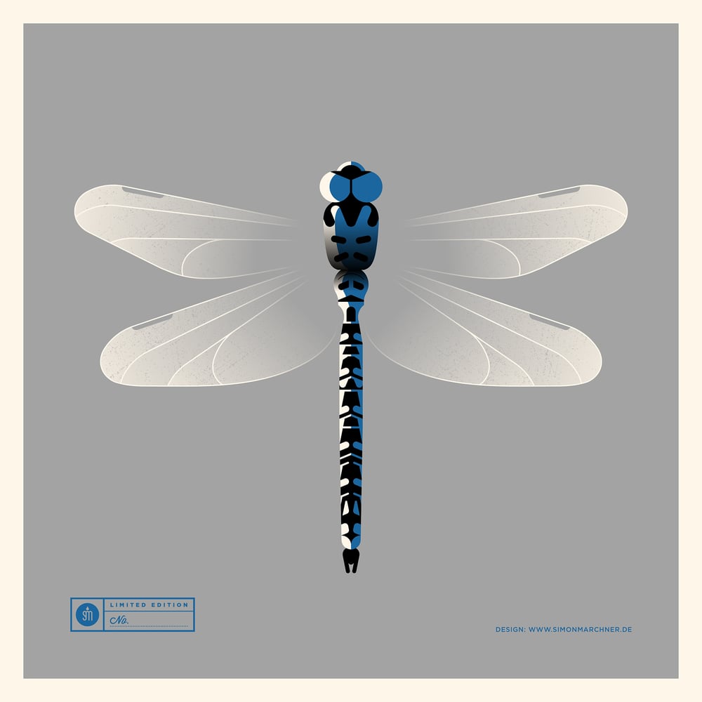 Image of Dragonfly Artprint Blue Version