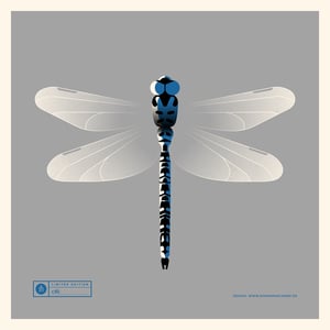 Image of Dragonfly Artprint Blue Version