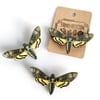 Death's-Head Hawkmoth Wooden Brooch Pin