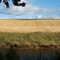 Image 1 of Farms