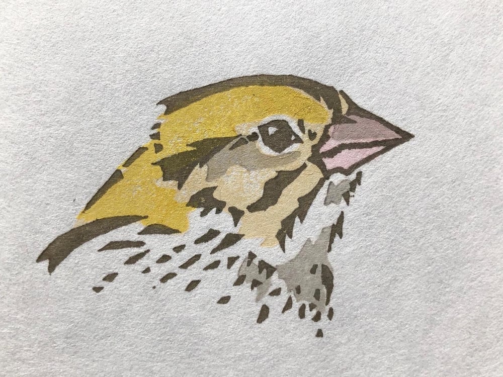 Image of Henslow's sparrow