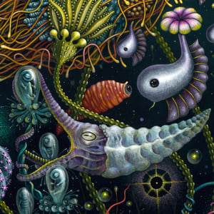 Image of SPACE PLANKTON II • Signed Limited Edition