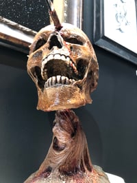 Image 1 of Arrowhead Skull