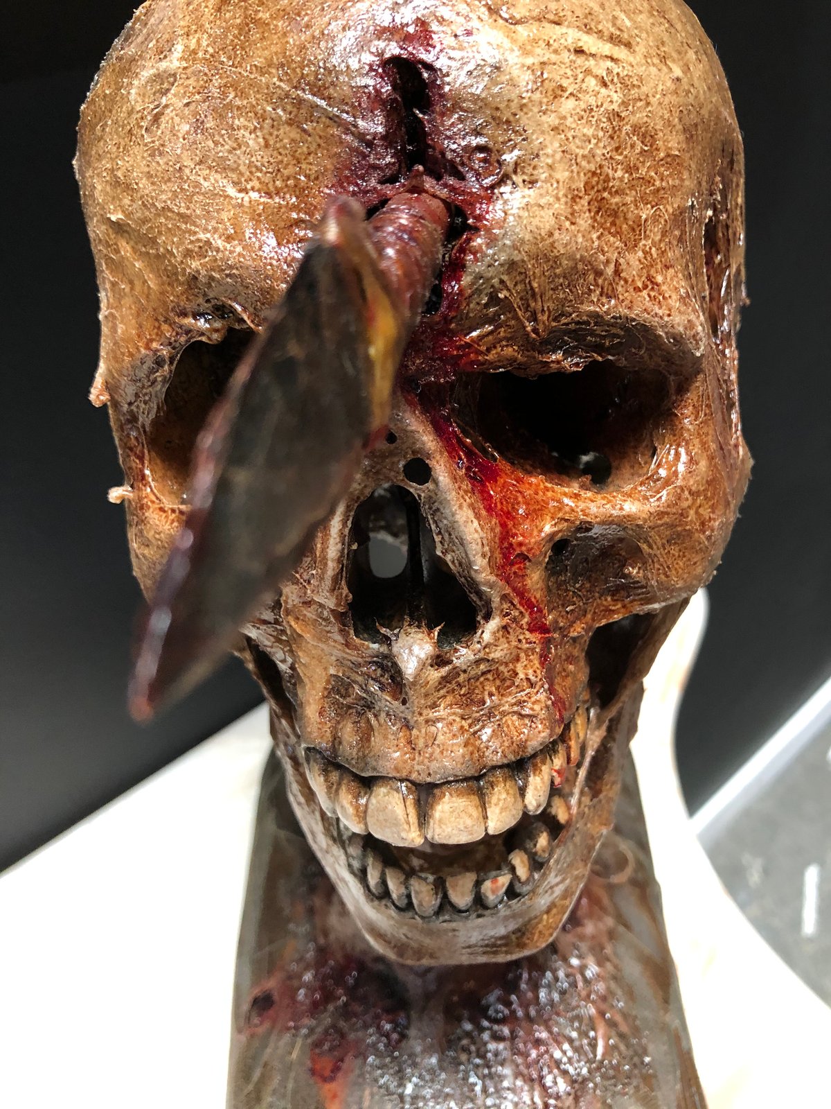 Image of Arrowhead Skull